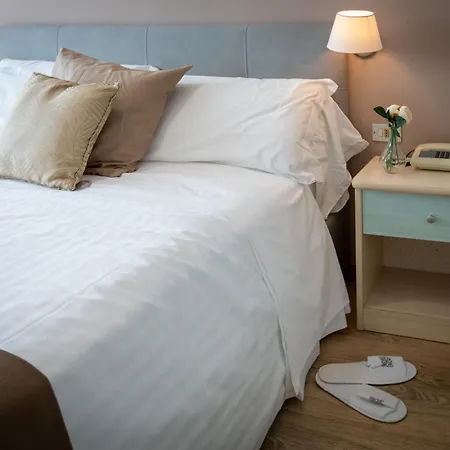Palace Del Conero 4* אוסימו
