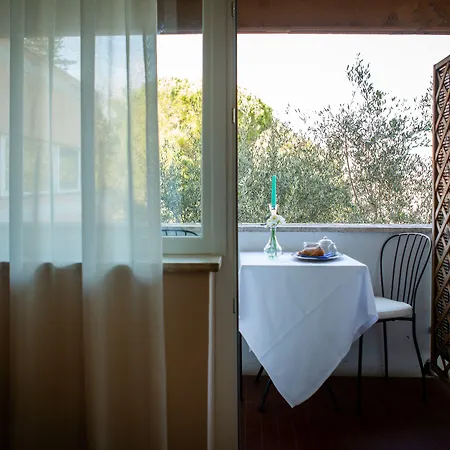 מלון Palace Del Conero 4*